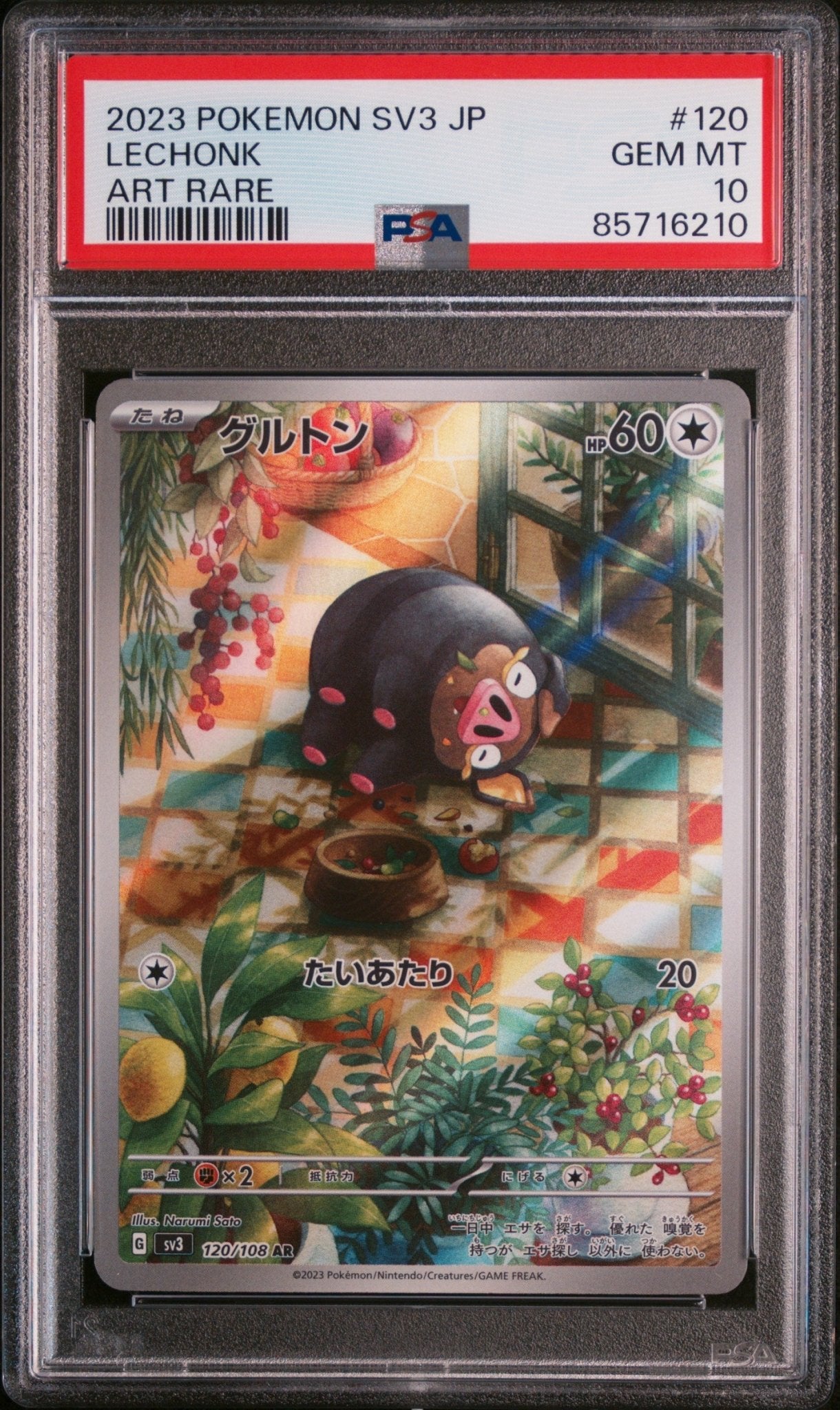 LECHONK 120 PSA 10 POKEMON JAPANESE SV3 - RULER OF THE BLACK FLAME - Psydeck