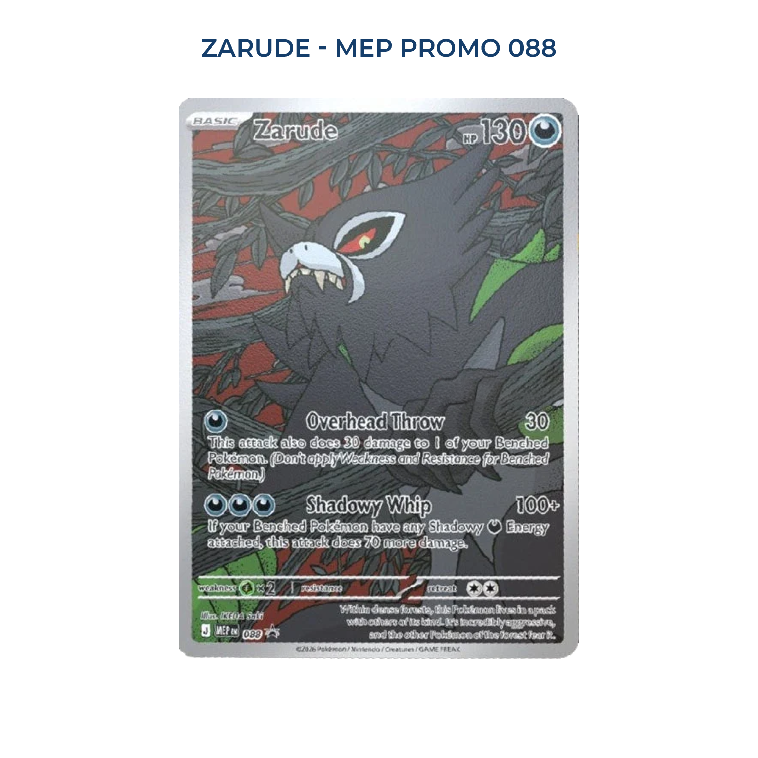 Pitch Black Elite Trainer Box